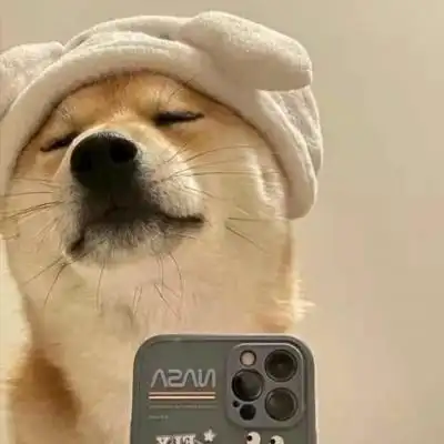 毛茸茸宠物沙雕蠢萌头像