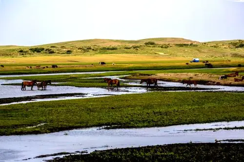 摄影 呼伦贝尔的云水柔情 写美篇呼伦贝尔草场主要有六大类:山地草甸