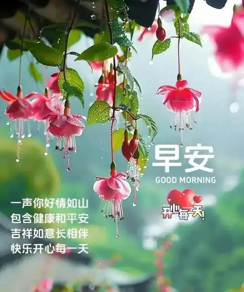 爱护自己,保重身体,愿平安健康黏着你,幸福快乐永伴你!周二早安!