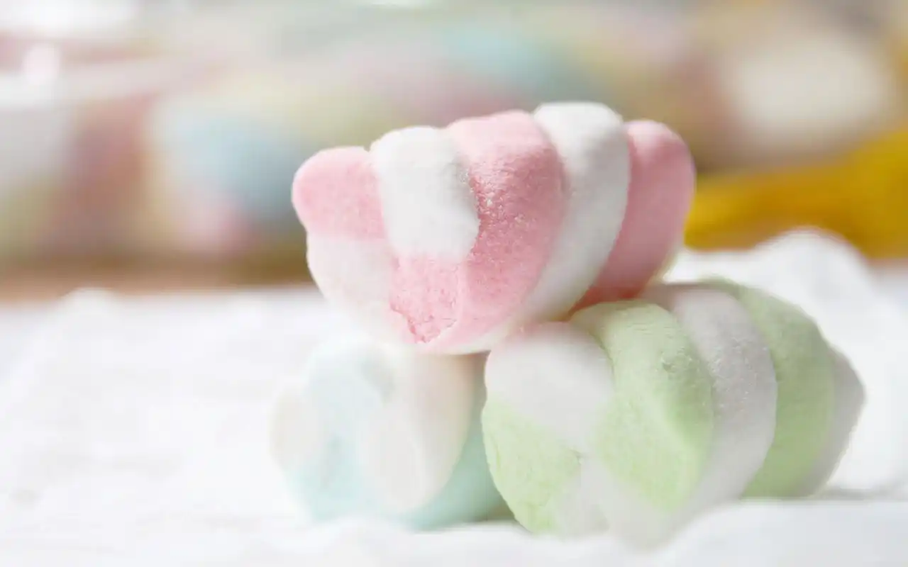 小清新静物唯美桌面高清壁纸