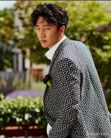 黄轩家暴疑云:娱乐圈的真相与幻象