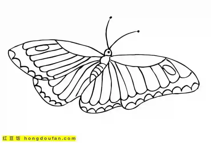 11张精致美丽的卡通蝴蝶儿童简笔画大全