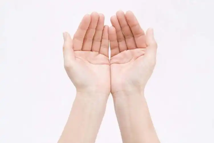 手,一个人,站,捧,横图,俯视,室内,特写,白天,白色背景,亚洲,双手,仅一