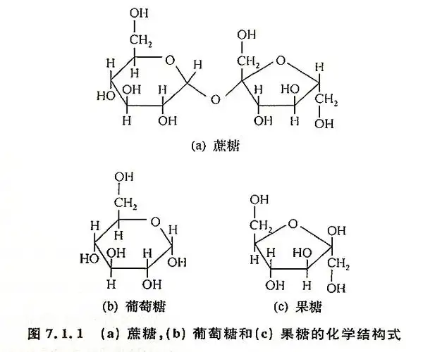 营养素中的糖类
