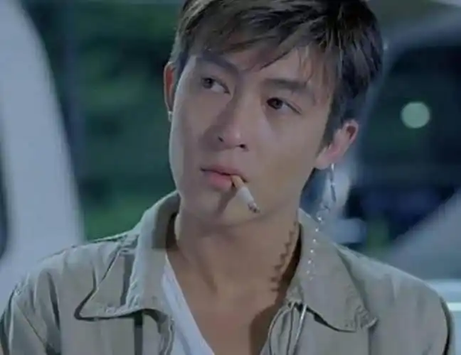 张柏芝和谢霆锋为什么离婚(张柏芝谢霆锋离婚的最大