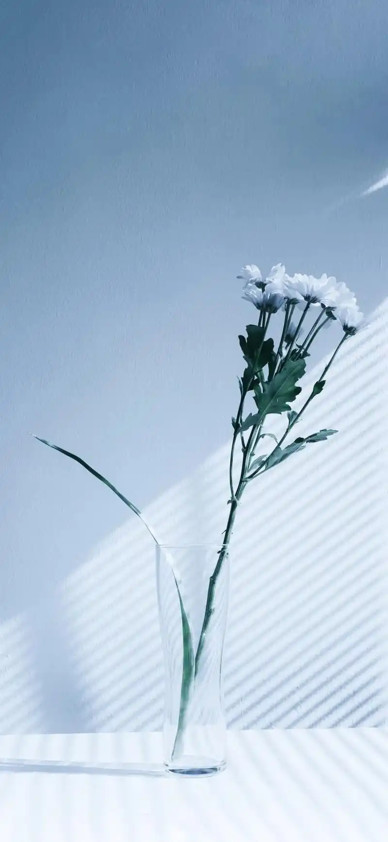 iphone壁纸|抖音壁纸高清原图