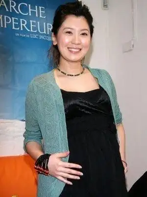 李嘉欣吴君如小s贾静雯 女星罕见孕照大曝光(组图)