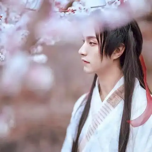 白衣古风少年侧脸头像图片