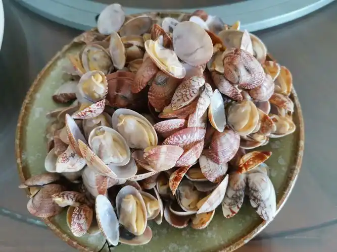 其它 回味之旅 写美篇这是青岛的家常海鲜,青岛海鲜是以清水蒸煮为主