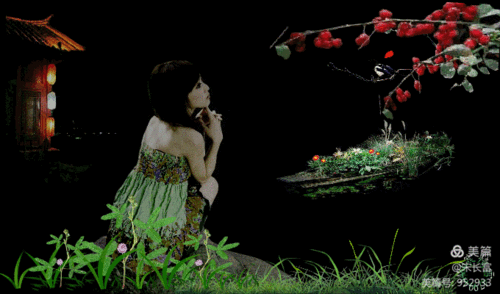 黑色背景动态图(1)