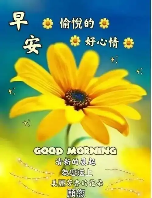 2023年11月4早安心语,正能量早晨祝福问候语,早上好图片
