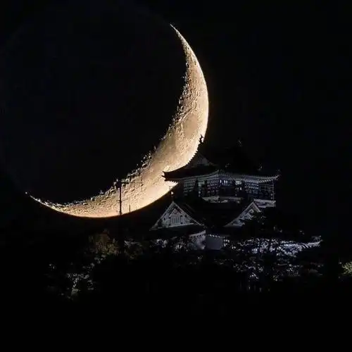 配图-堆糖,美好生活研究所