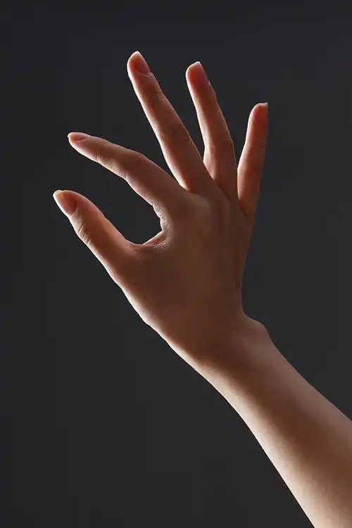 手部特写图片