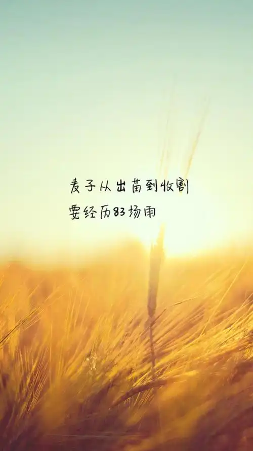 唯美励志创意文字语录