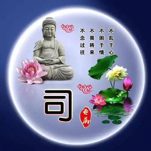 本期百家姓氏#微信头像#模板编号为b198娜娜这一期一共创作了3种风格