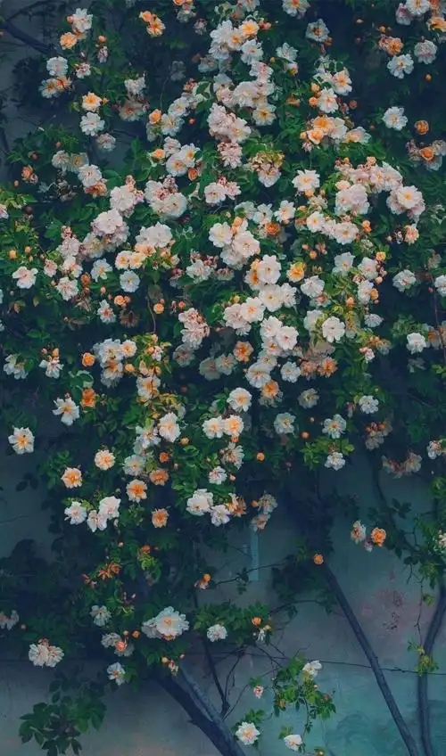 清新手机锁屏背景壁纸,喜欢拿走!