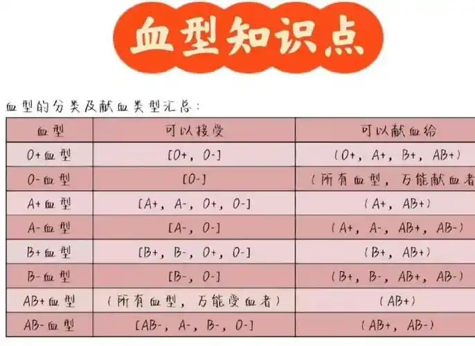 赛车上的abo是血型