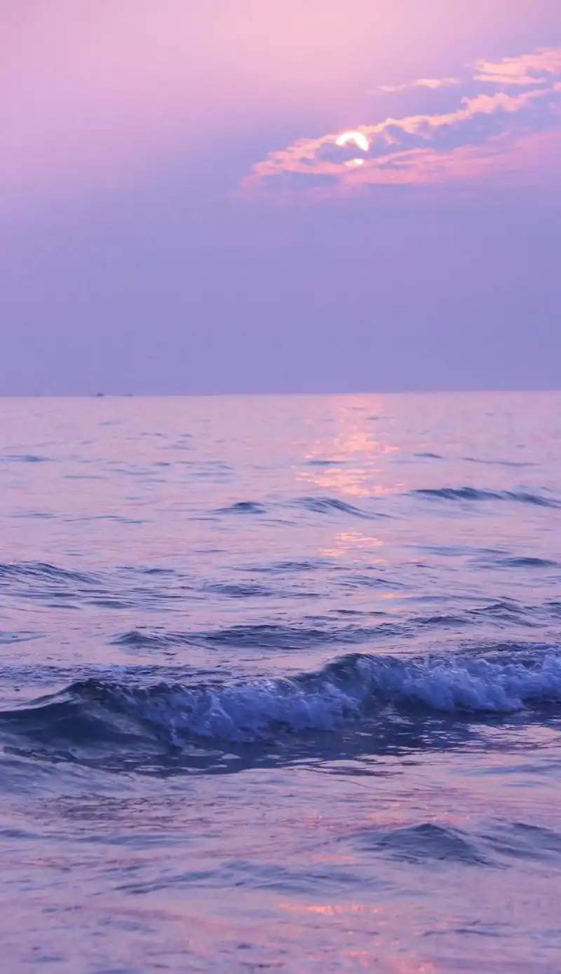 很全的紫色系壁纸,仙气飘飘梦幻紫,仙女们快来领取!