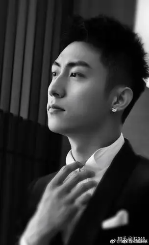 如何评价黄景瑜的颜