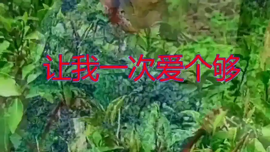 92年春晚现场庚澄庆演唱经典歌曲《让我一次爱个够》