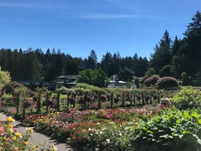 世界最美的花园- - -加拿大布查德花园