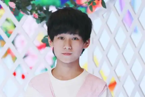 tf家族三代鹿晗(tf家族这15个小鲜肉)(10)