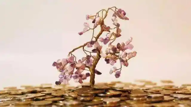 原来这才是摇钱树真正的含义