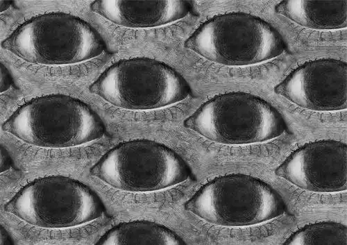 毛毛毛读作cuì的相册眼眼眼密集综合症慎入