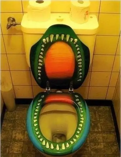 1/17 世界上最古怪的马桶