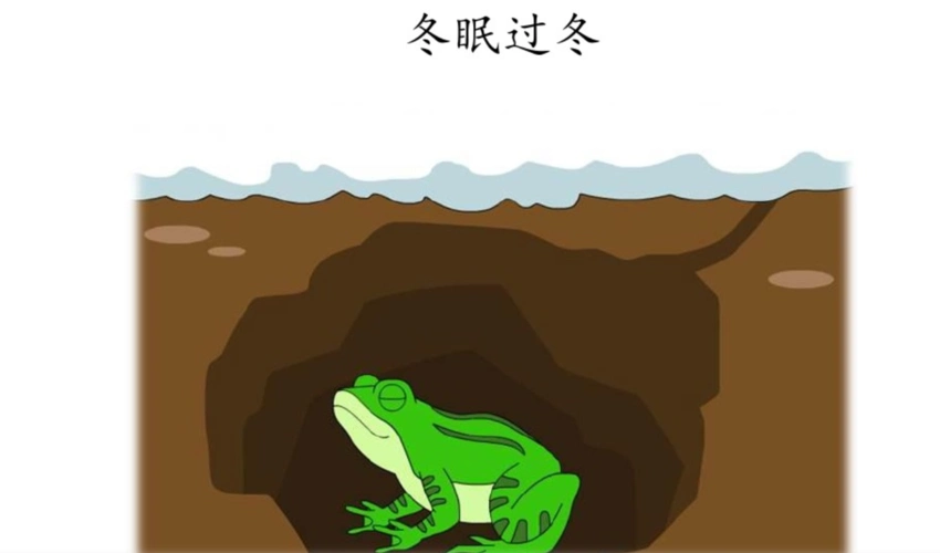 来袭的时候会减少生命活动,很多植物会落叶,动物会休眠,有的称作冬眠