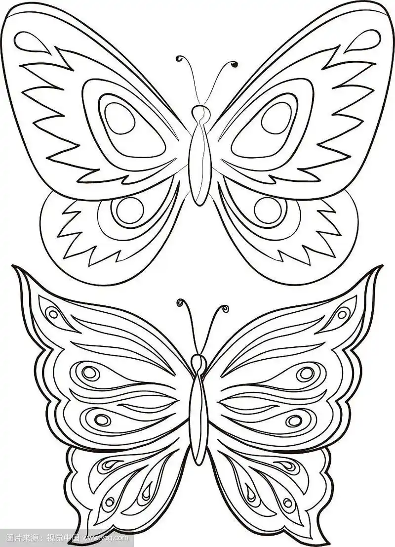 蝴蝶轮廓