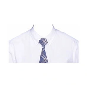 模板女士正装证件照【白红】女士正装证件照【白红2】女士正装证件照