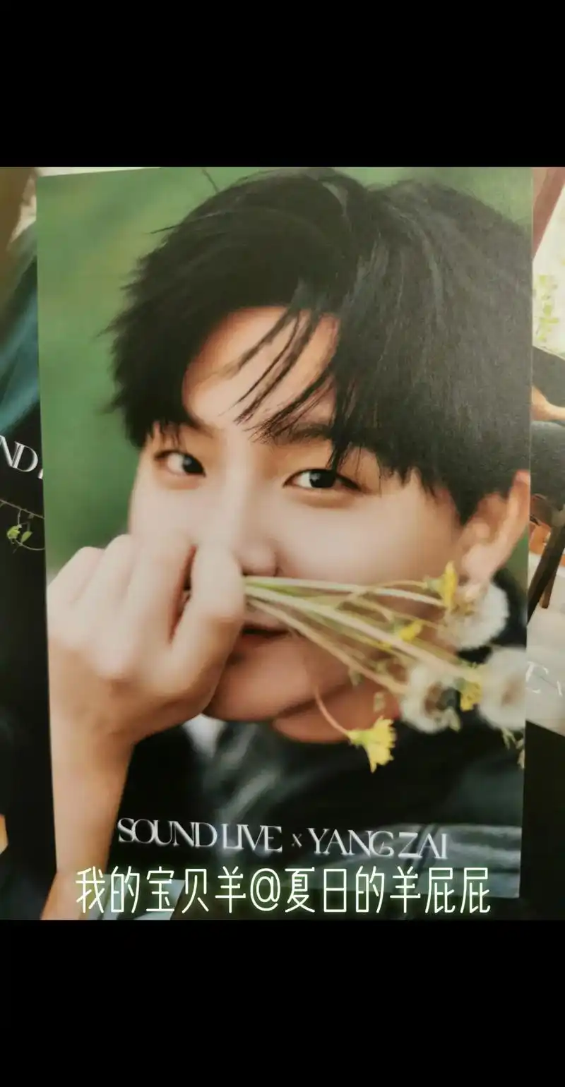 可爱的帅帅羊仔.这套照片真的太好看了#cv羊仔 @夏日的羊屁 - 抖音