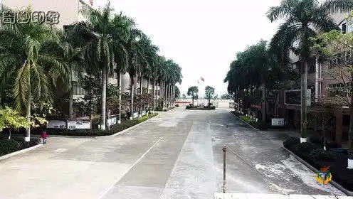 选择"鱼中"成就梦想,南沙鱼窝头中学视频高清版