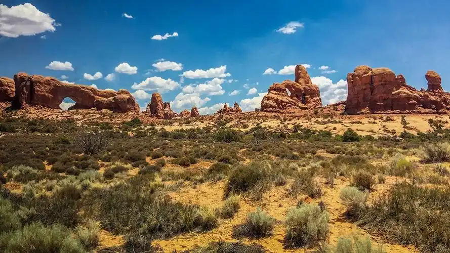 奔驰在美国西部的自然风光中