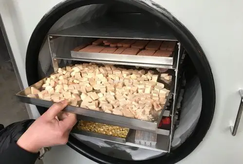 冻干机食品迷你冷冻干燥定位家用 - buy 冷冻干燥机食品,冷冻干燥,迷