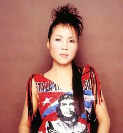 田震:特质的声音,实力派名家