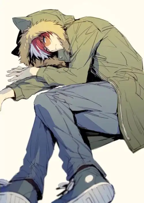 我的英雄学院 轰 焦冻