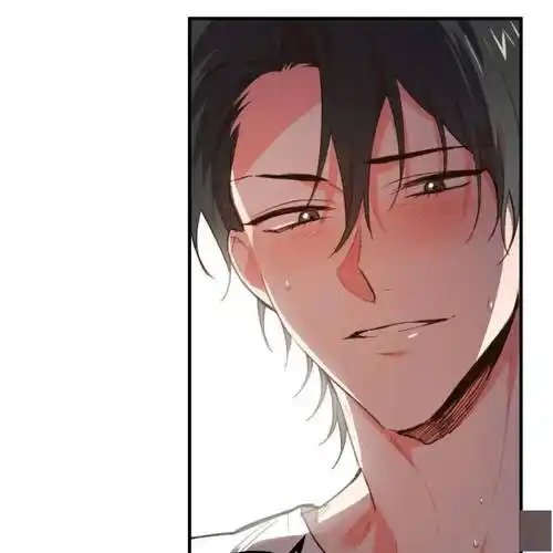 兔子受人h又羞又野我们生个可爱小兔子吧