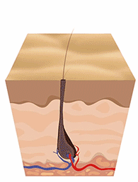 195_258gif 动态图 动图