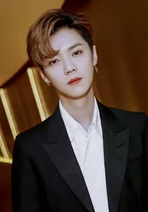 引言介绍鹿晗的流量时代和事业鼎盛的背景.