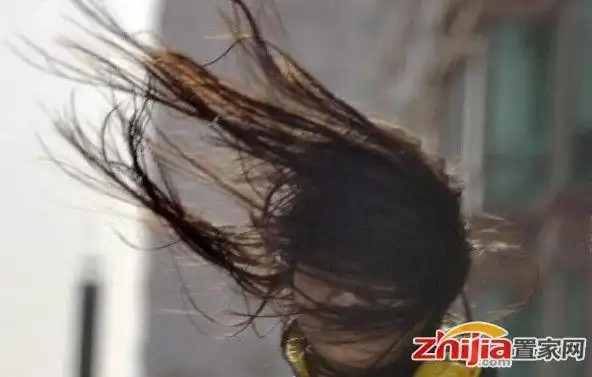 石家庄今天风好大把我都吹傻了,脸都被吹肿了有木有!