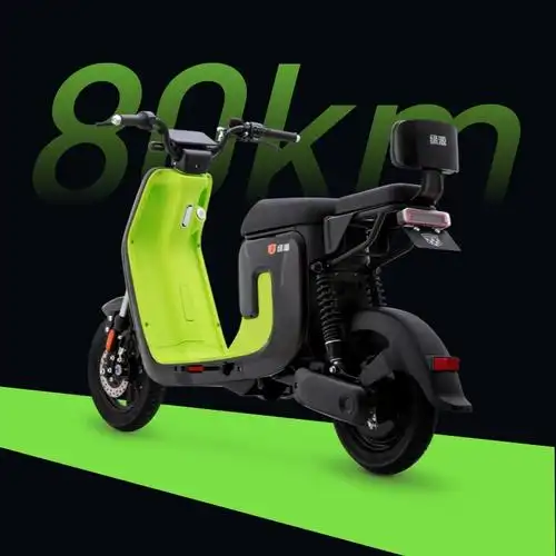 代步绿源电动自行车48v20a锂电池k5男女双人续航电动自行车