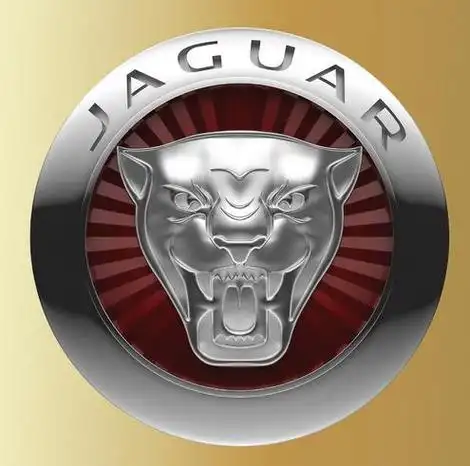 车标豹子头但不是捷豹,像老虎或豹子的标志是什么车