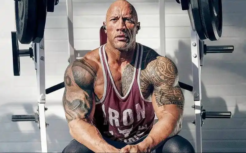 精神氮泵therock巨石强森泵感合集