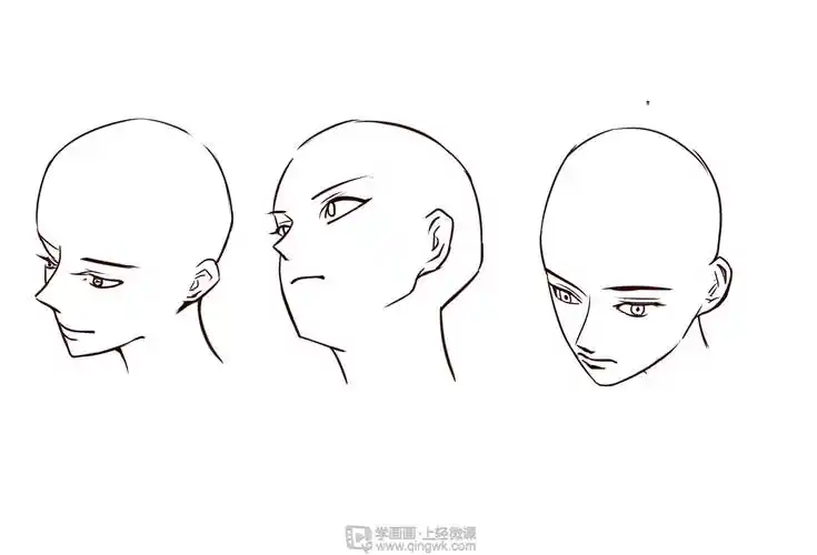 作业:动漫人物头部仰视,俯视的画法训练 - 终极肥狗 - 轻微课