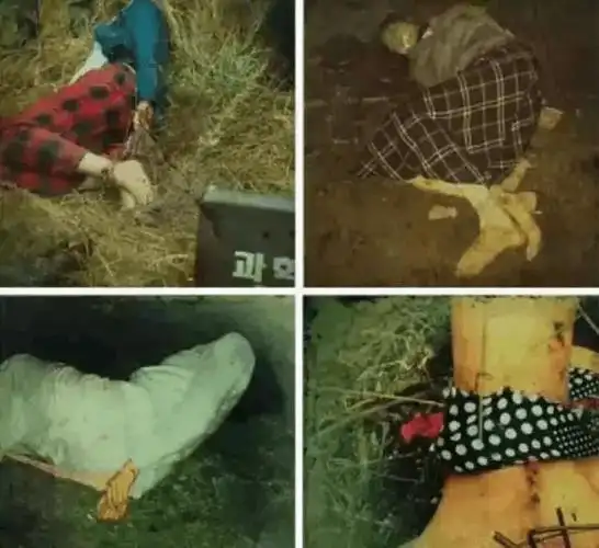 白银连环杀人案简直是这部电影的现实版