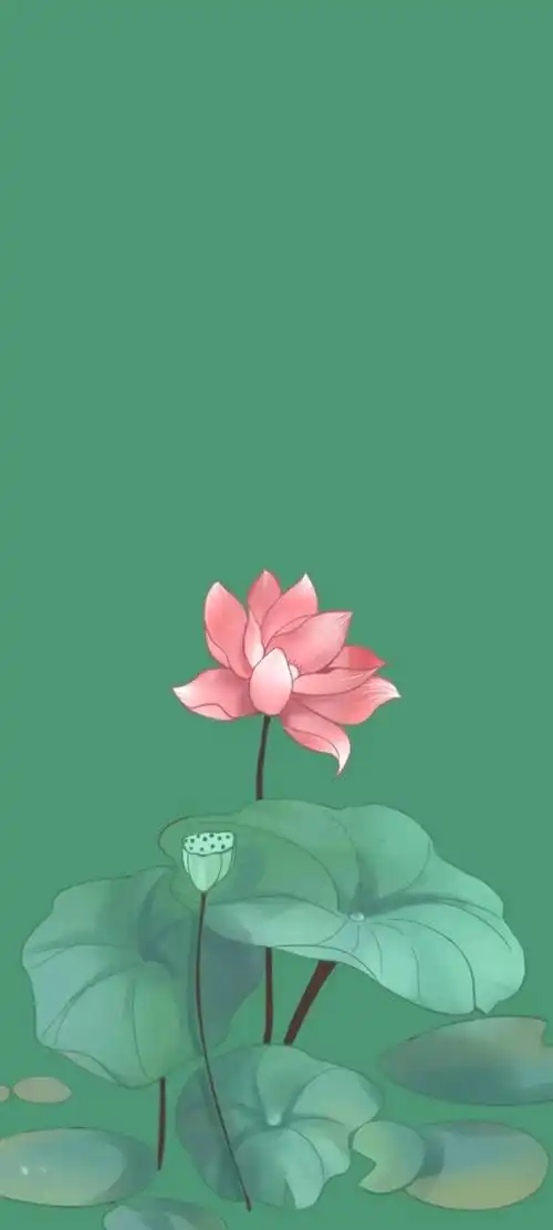 清新绿色护眼荷花壁纸