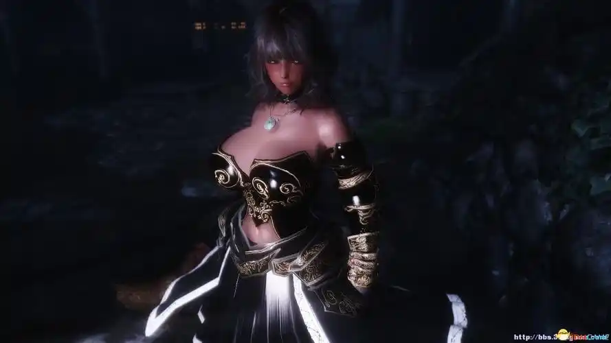 上古卷轴5服装mod超华丽欧洲风贵族爆乳战斗装