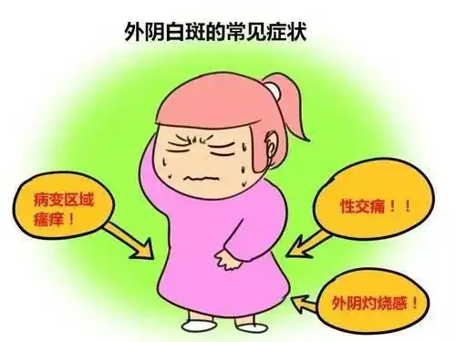 外阴白斑是什么病为什么这么难治